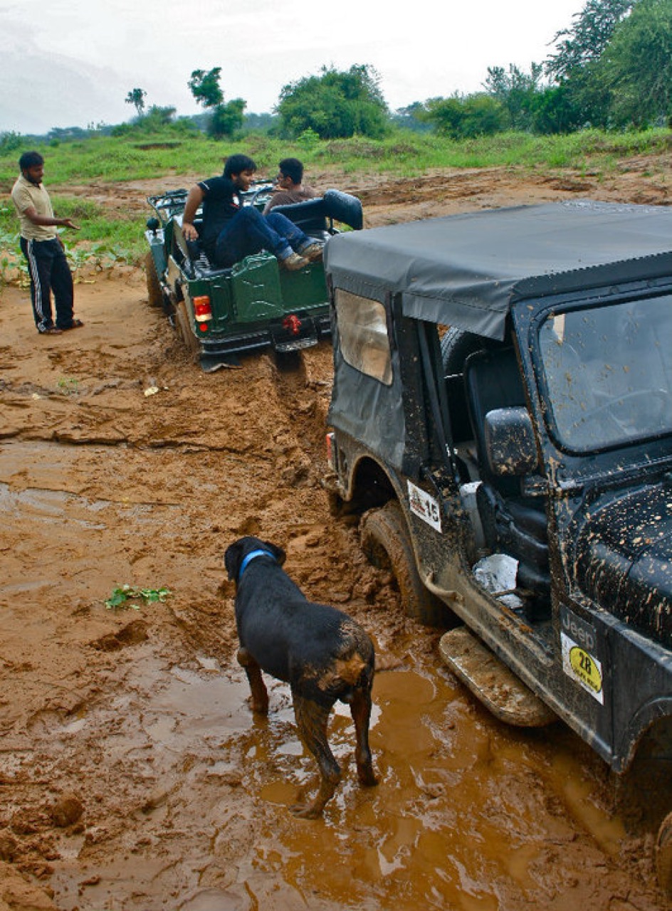 Furventures - Pet Adventures & Events - Professional service photo 6